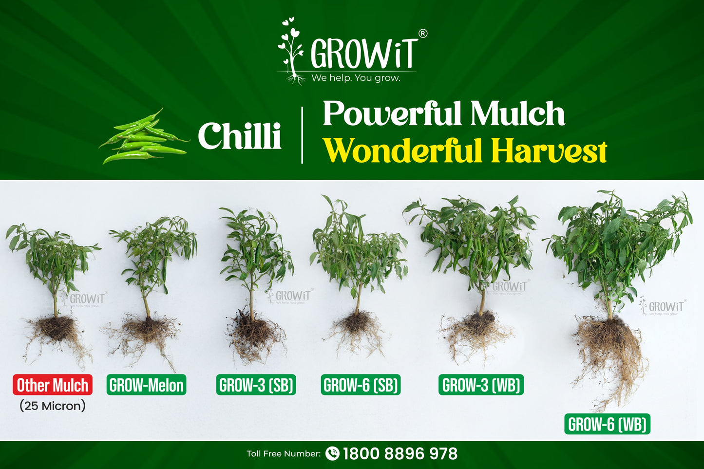 Grow-6