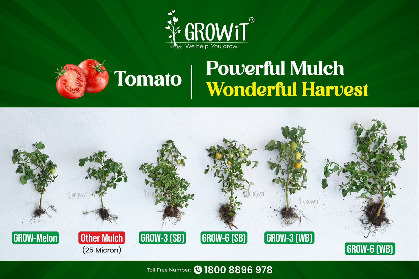 Grow-6