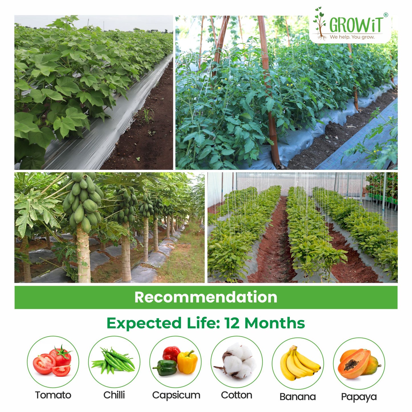 Grow-6