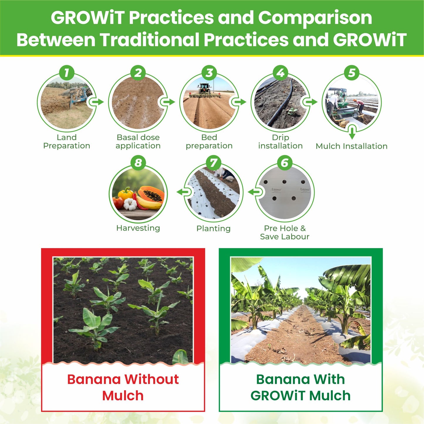 Grow-6