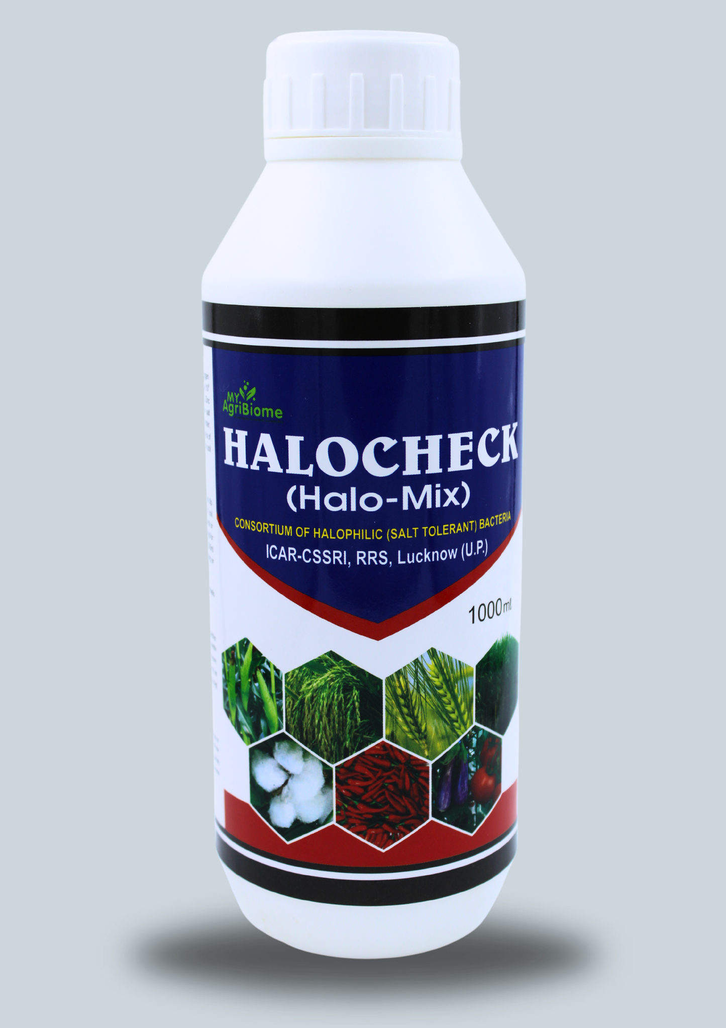 HALO CHECK