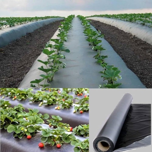 Mulching film