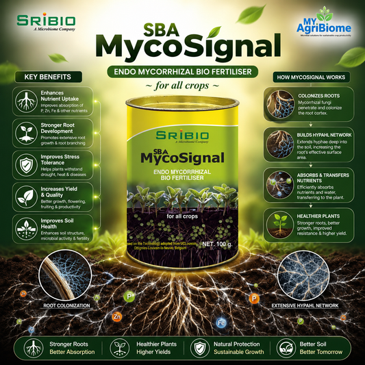 SBA MYCO SIGNAL