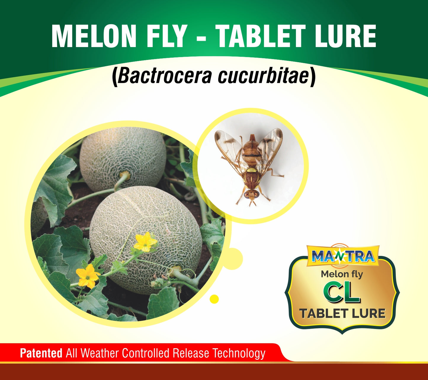 MANTRA CL- Melon Fly Tablet Lure