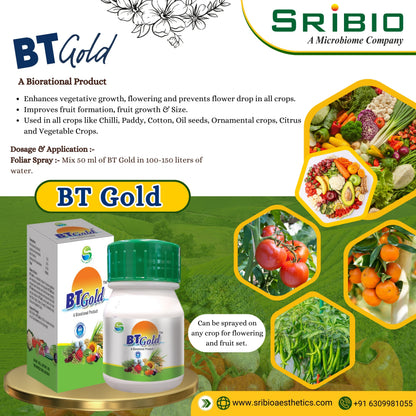 BT GOLD