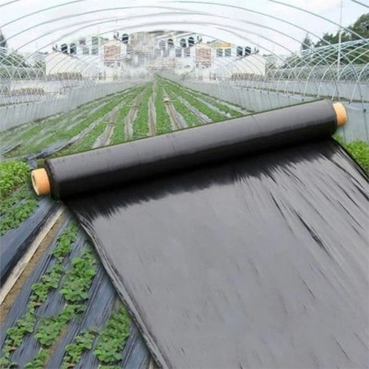 Biodegradable Mulching roll