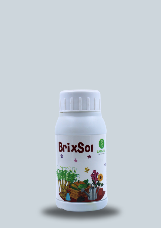BRIXSOL