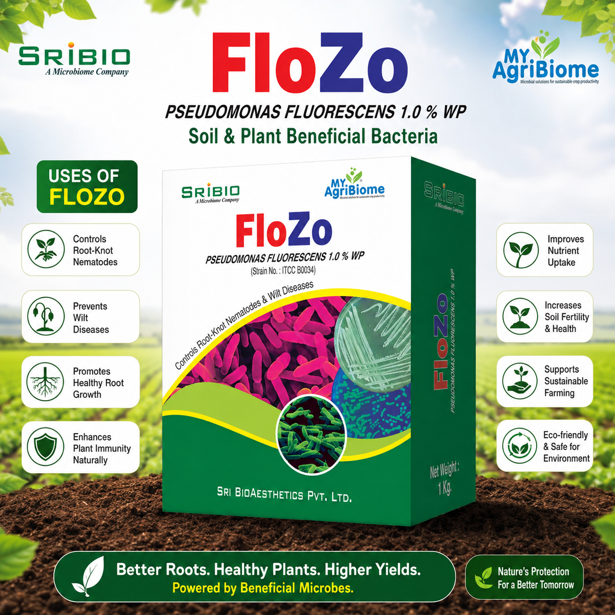 FLOZO