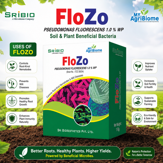 FLOZO
