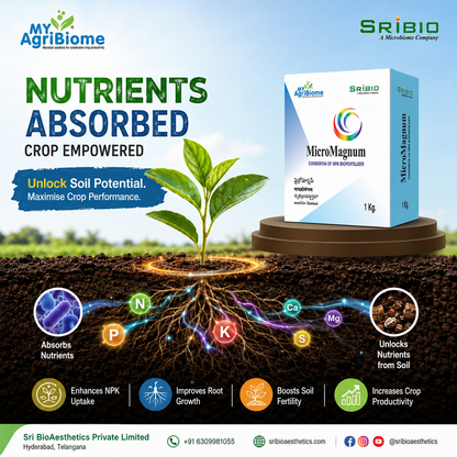 MICRO MAGNUM - ALL CROPS