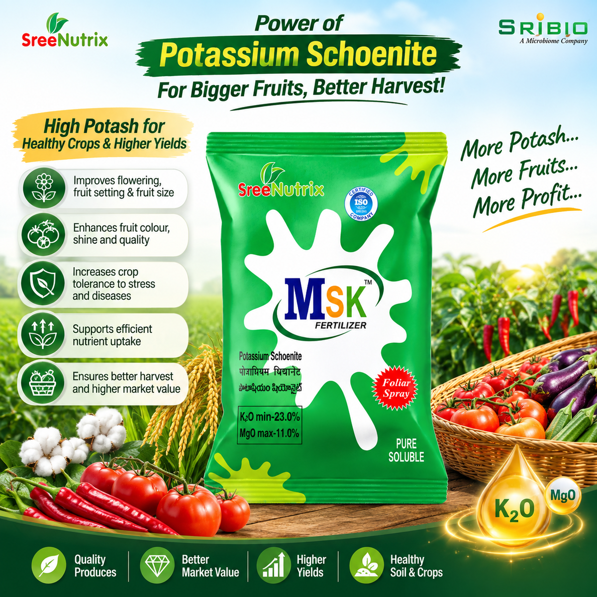 NUTRIX MSK