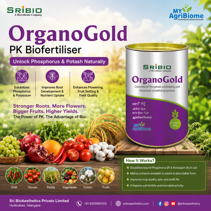 ORGANO GOLD