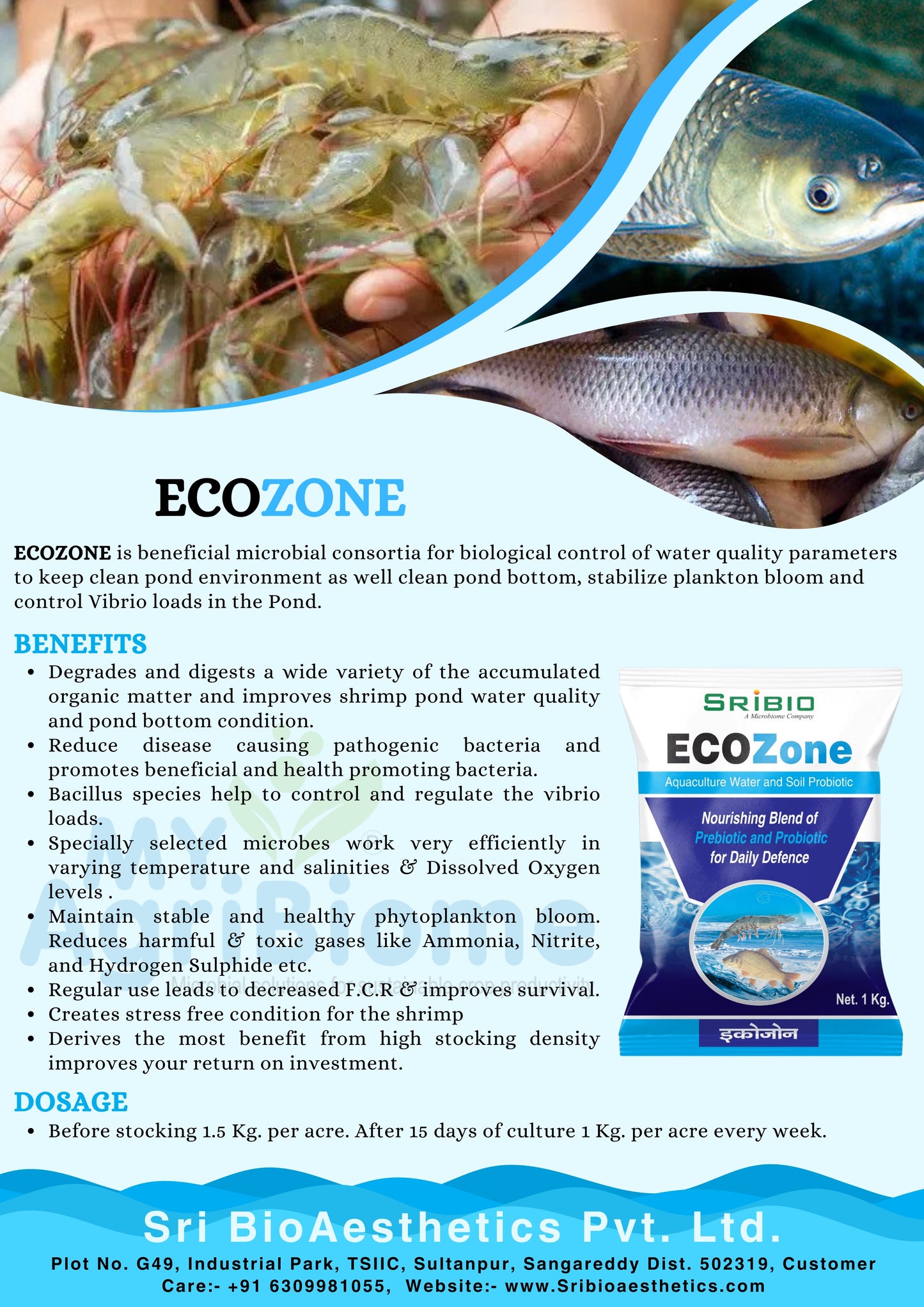 ECOZONE