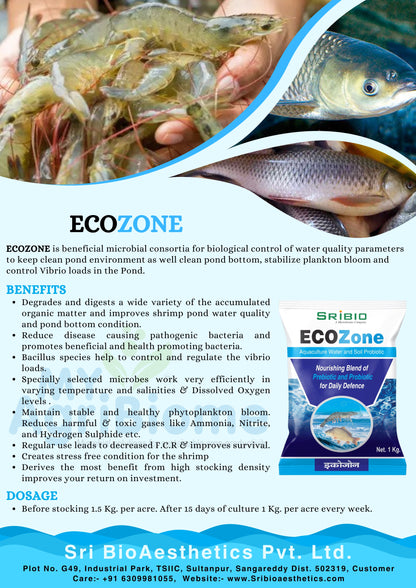 ECOZONE