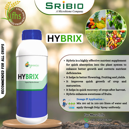 HYBRIX