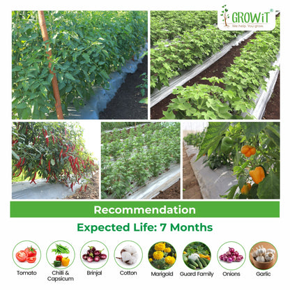 Grow-3 (SB)