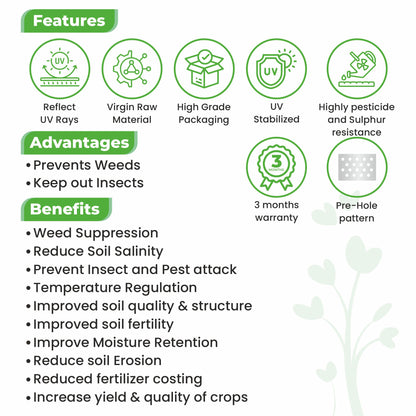 Grow-3 (SB)