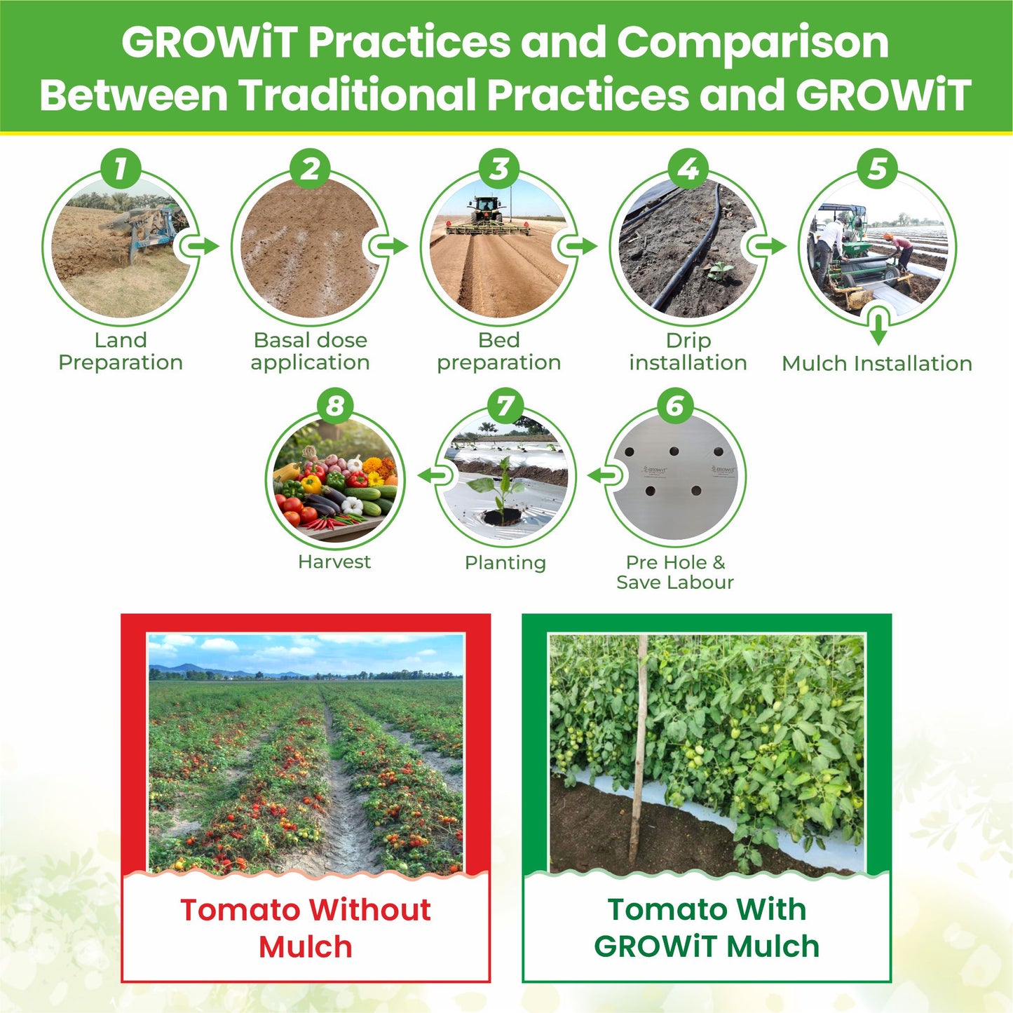 Grow-3 (SB)