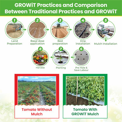 Grow-3 (SB)