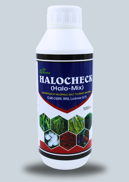 HALO CHECK