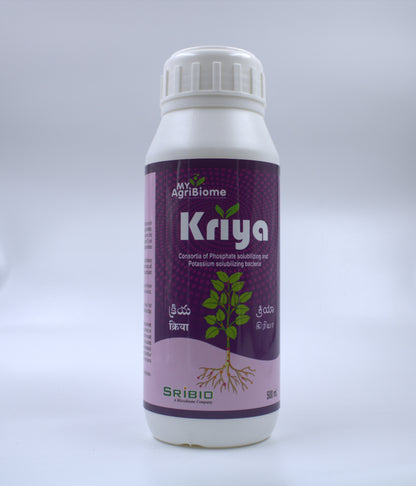 Kriya Liquid
