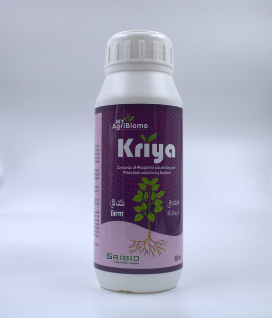 Kriya Liquid