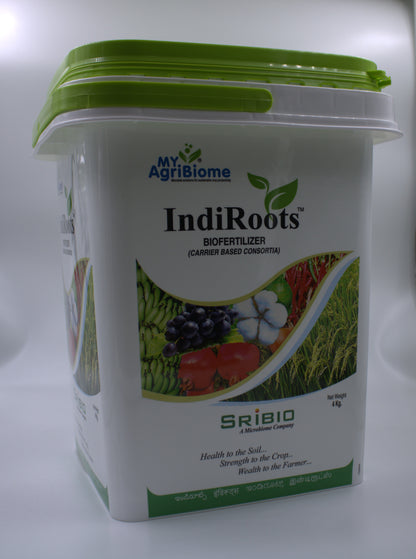 INDIROOTS - ALL CROPS