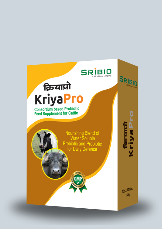 KRIYA PRO