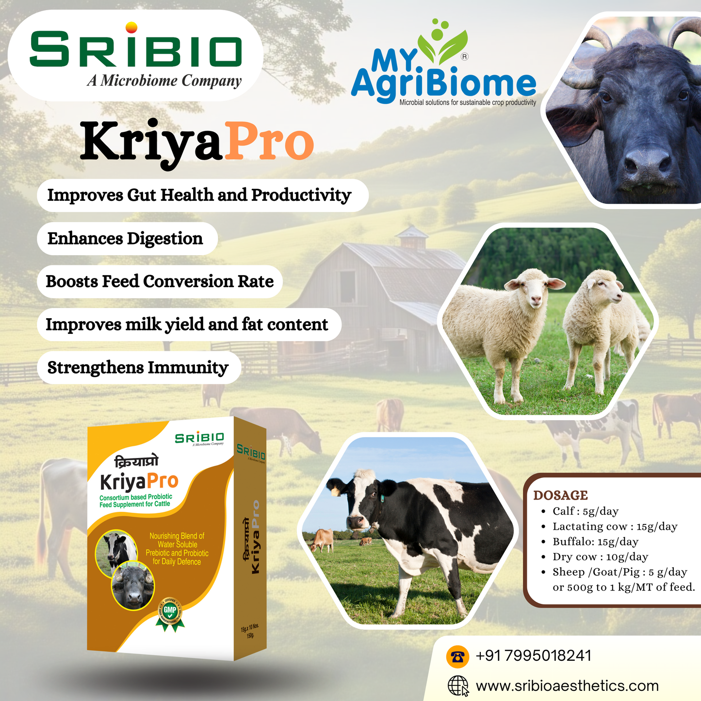KRIYA PRO