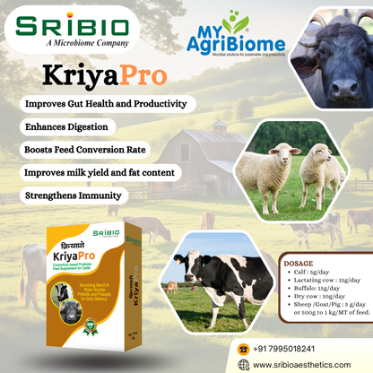 KRIYA PRO