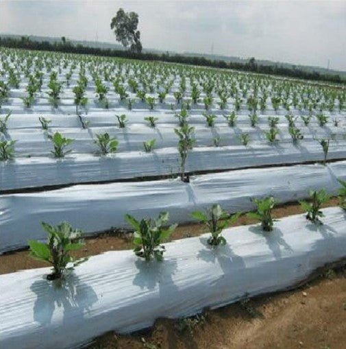 4 ft mulching film 25 microns