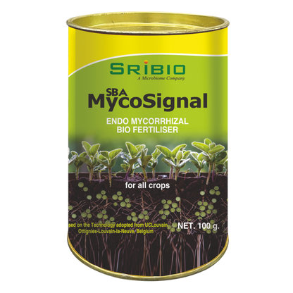 SBA MYCO SIGNAL