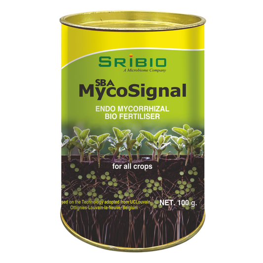 SBA MYCO SIGNAL