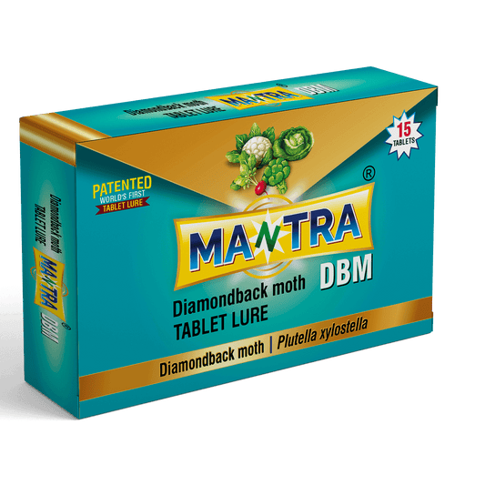 Mantra DBM Tablet Lure