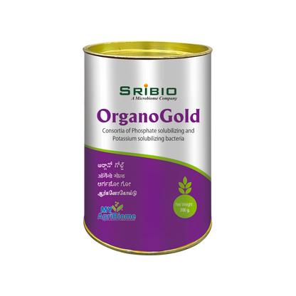 ORGANO GOLD