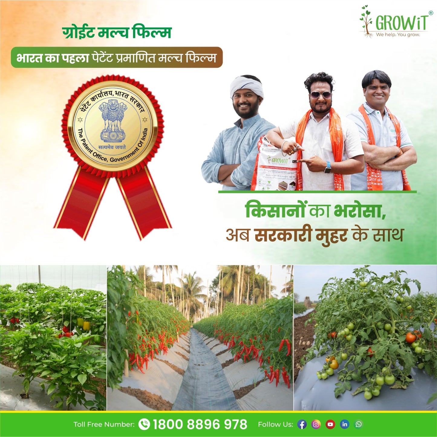 Grow-3 (SB)