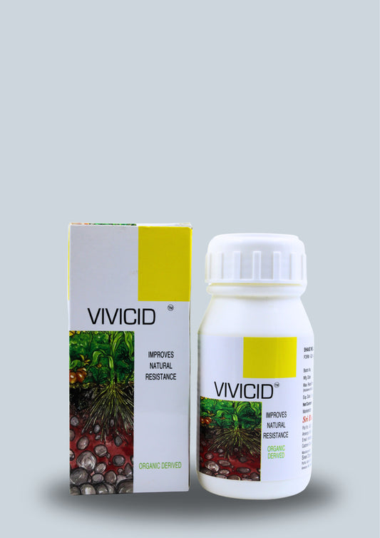 VIVICIDE