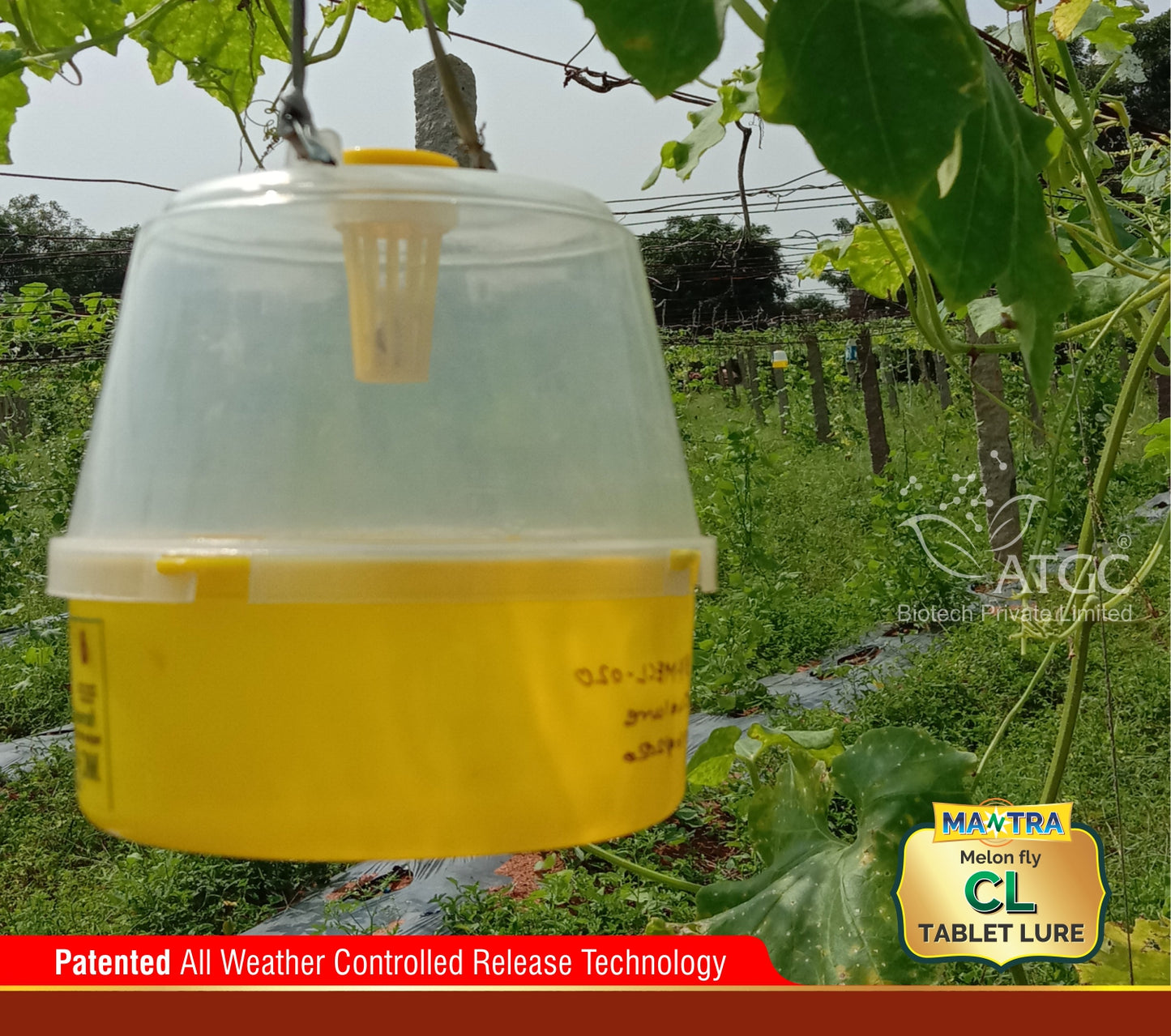 MANTRA CL- Melon Fly Tablet Lure