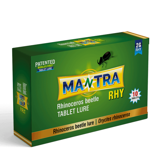 Mantra -RHY -Rhynocerous Beetle Tablet Lure